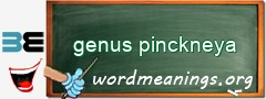 WordMeaning blackboard for genus pinckneya